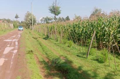 1/8 Acre Residential Plots For Sale In Outspan, Eldoret