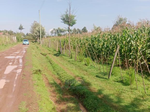 1/8 Acre Residential Plots For Sale In Outspan, Eldoret