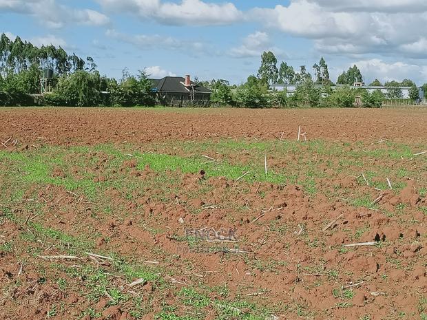 1/8acres and 1/4acres in Kibulgeny Kiplombe