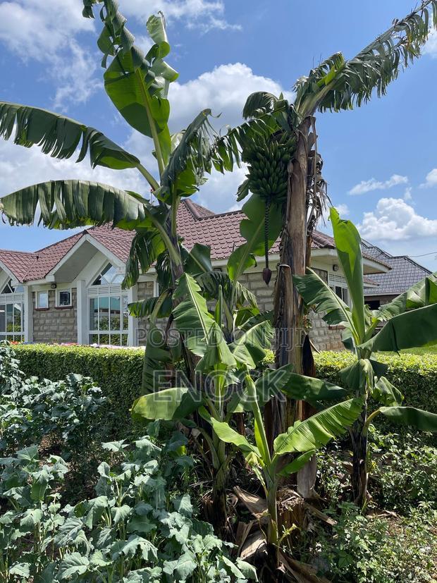 4bdrm Bungalow in Racecourse for sale