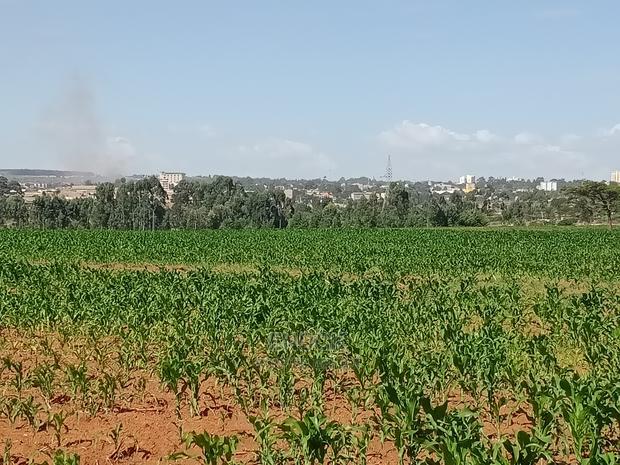 1/8 Acre Plots for Sale in Segero, Kipkenyo, Near Eld CBD