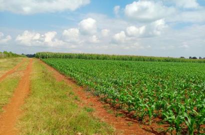 5 Acre Land for Sale in Tugen Estate,Moiben