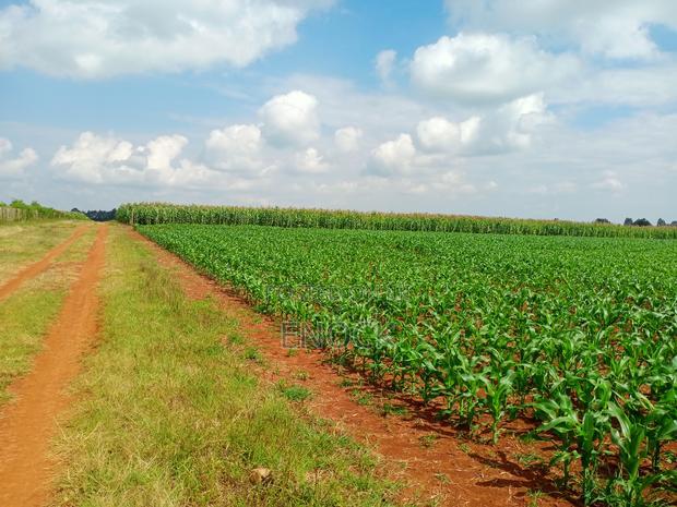 5 Acre Land for Sale in Tugen Estate,Moiben