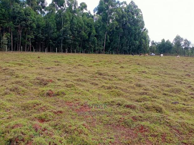 1/4 Acre Plots for Sale in Kapseret-St Georges
