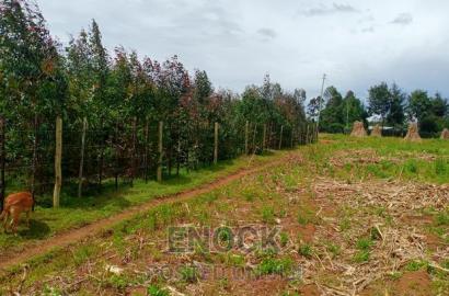 1/4acre Land for Sale in Outspan - Ancilla