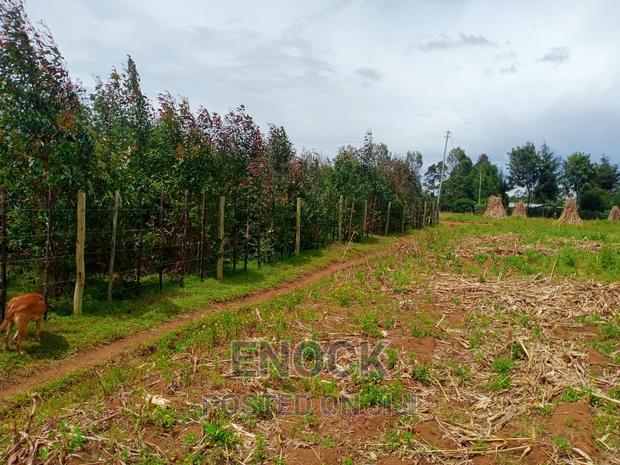 1/4acre Land for Sale in Outspan - Ancilla