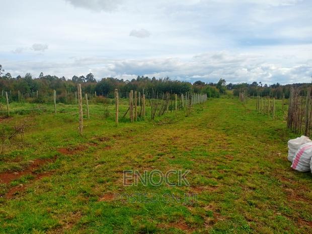 Prime Plots for Sale in Royaltone Eldoret