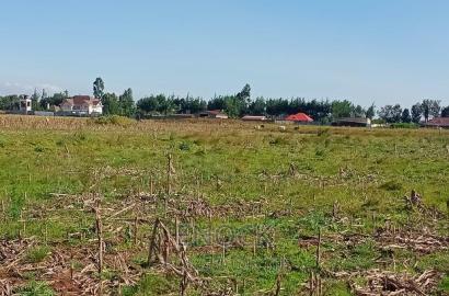 Prime Plots in Marura Centre