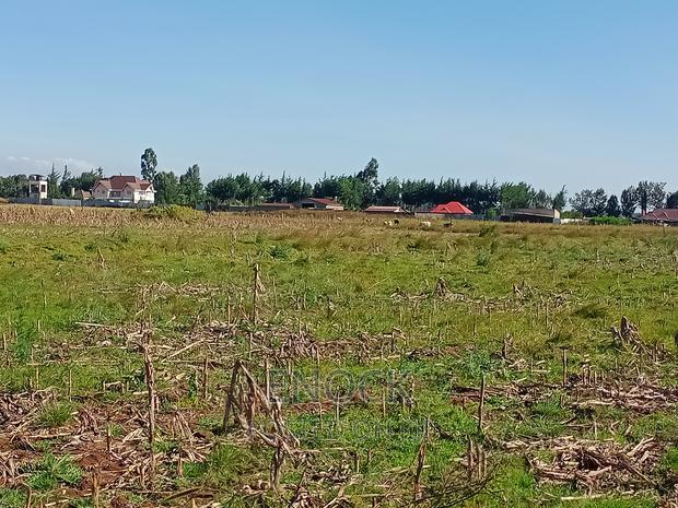 Prime Plots in Marura Centre