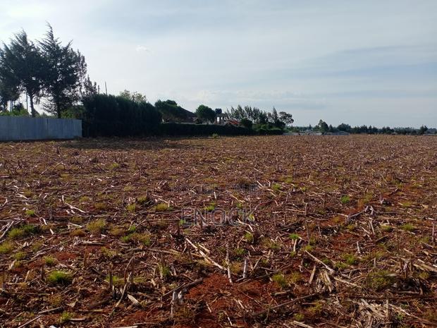 Prime Plots in Chepkanga Chemaluk
