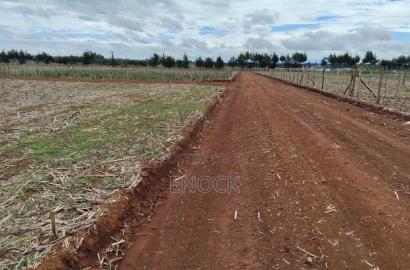 Prime Plots in Chepkanga Eldoret
