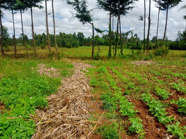 6 Acre Prime Land in Cheplaske, Eldoret