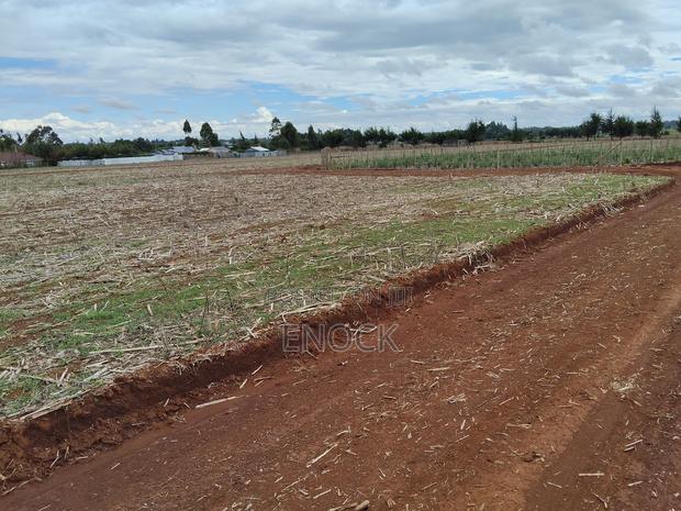 Prime Plots in Chepkanga Eldoret