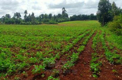 6 Acre Prime Land in Cheplaske, Eldoret