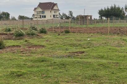Prime Residential Plots in Royaltone Annex
