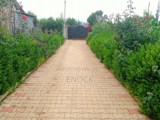 3bdrm Bungalow in Silas, Kapsoya for sale