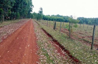 1/4 Acre Plots for Sale in Kapseret-St Georges