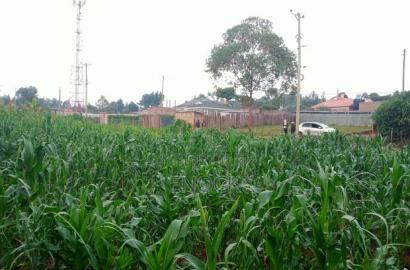 Prime 1/4acre Land for Sale in Kipkorgot, Eldoret
