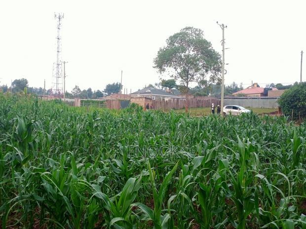 Prime 1/4acre Land for Sale in Kipkorgot, Eldoret