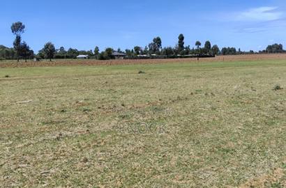 Prime Plots in Mtimoja Near University of Eldoret