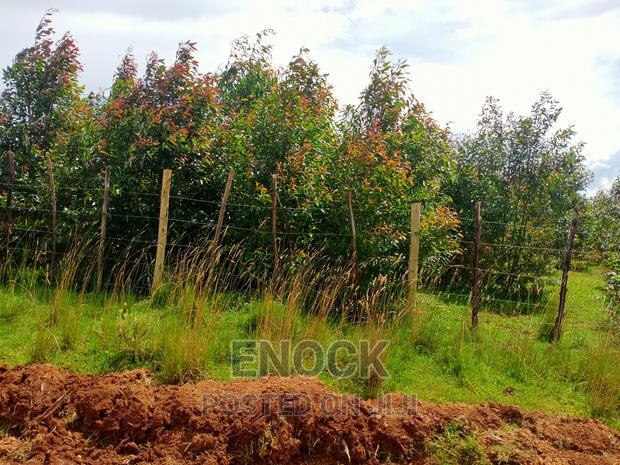 1/4acre Land for Sale in Outspan - Ancilla