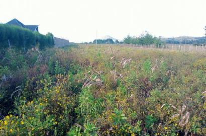 Prime Plots in Moiben Junction Centre