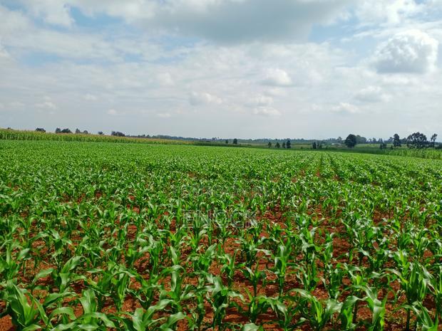 5 Acre Land for Sale in Tugen Estate,Moiben