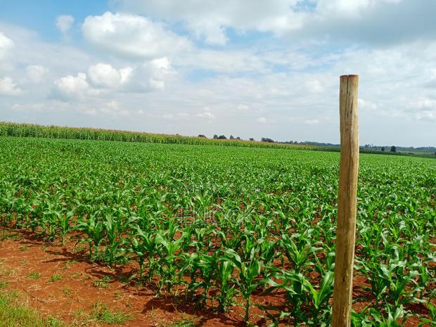 5 Acre Land for Sale in Tugen Estate,Moiben