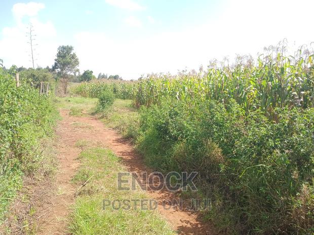 1 Acre Parcels Land for Sale in Cheplaske,Near Bypass