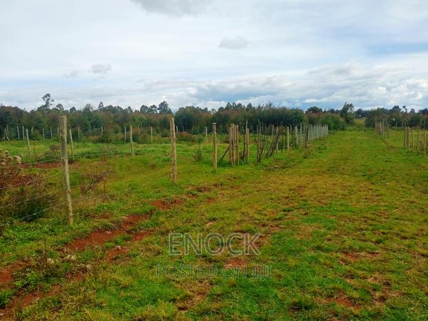 Prime Plots for Sale in Royaltone Eldoret