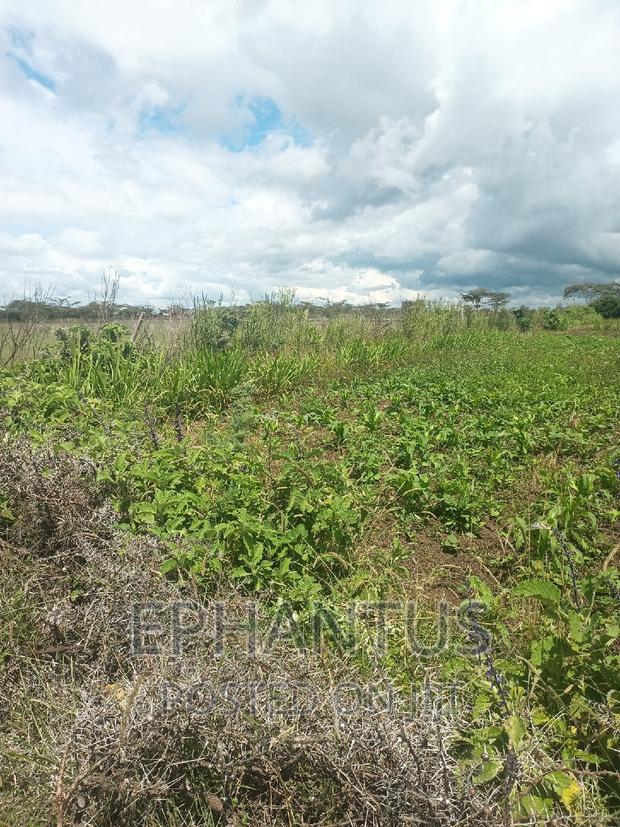 Distress Sale 1/4 Plot in Joska