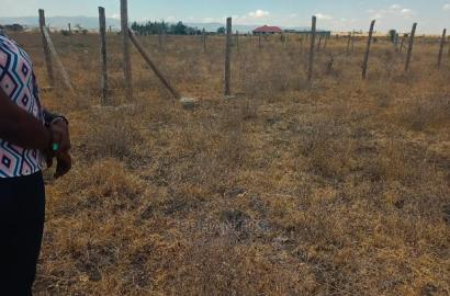 Prime Plots in Joska