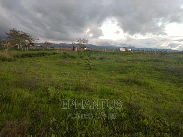 Prime 50 by 100 Plots in Joska-Kamulu