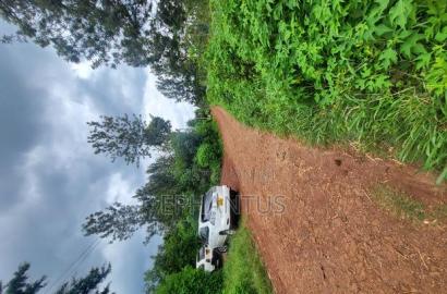 50 by 100 Plot in Kimunyu-Kenyatta Road
