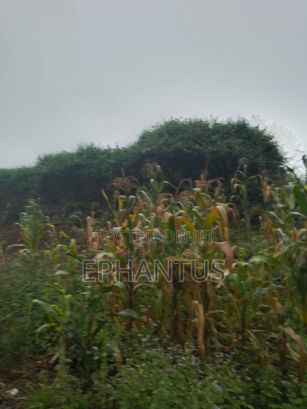3 Ares Land for Sale in Runda