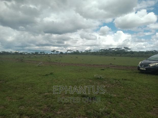 Plots in Thika-Matuu Only 1 Km From Tarmac