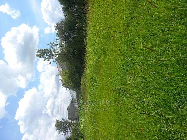 Prime One Acre in Joska.