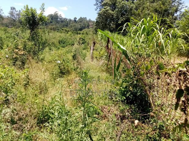 6.5 Acres Land With a 4 Bedroom House for Sale