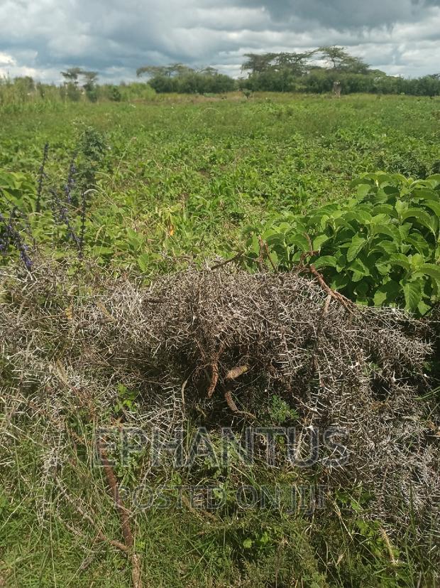 Distress Sale 1/4 Plot in Joska