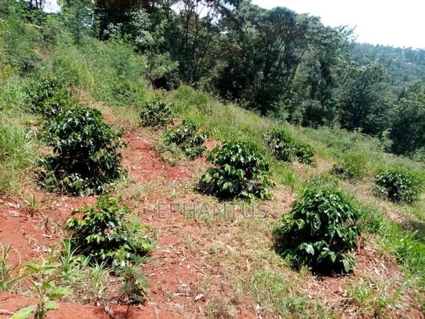 6.5 Acres Land With a 4 Bedroom House for Sale