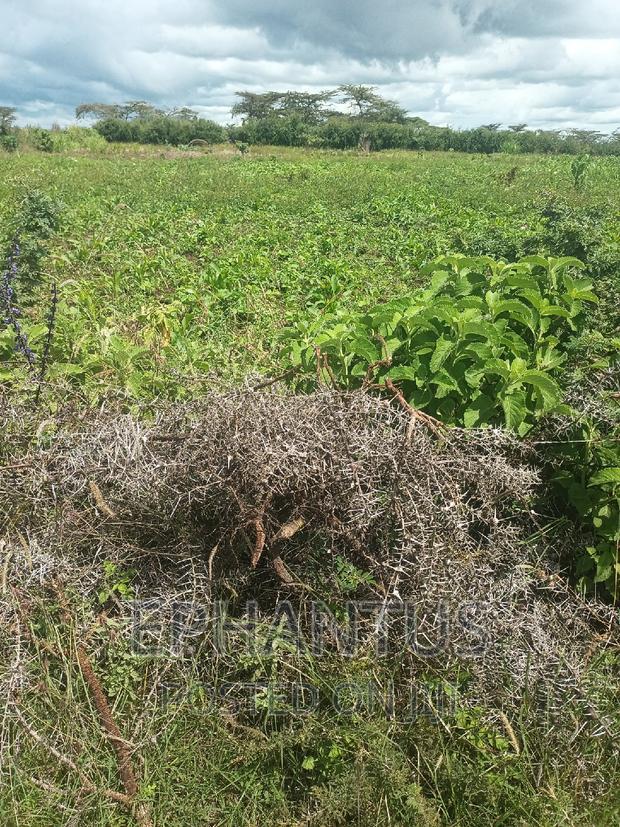 Plots in Thika-Matuu Only 1 Km From Tarmac