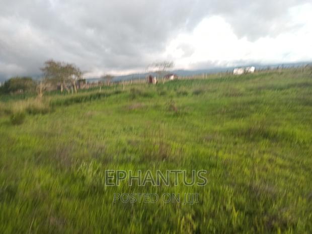 Prime 50 by 100 Plots in Joska-Kamulu