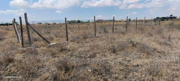 Prime Plots in Joska