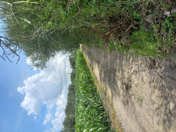 Prime One Acre in Joska.