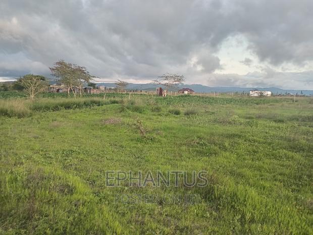 Prime 50 by 100 Plots in Joska-Kamulu