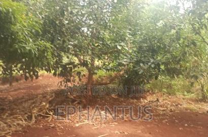 2 Acres for Sale in Kenyatta Road Kimunyu Area