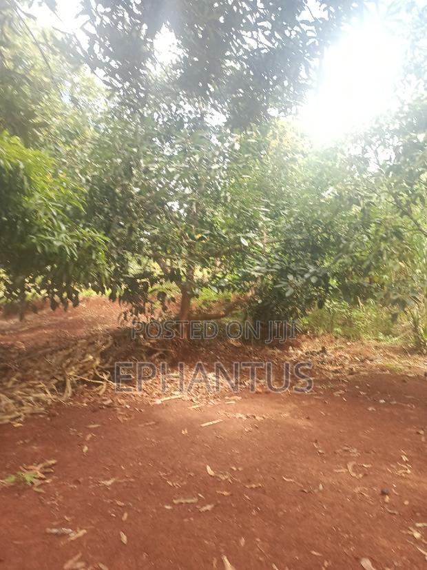 2 Acres for Sale in Kenyatta Road Kimunyu Area
