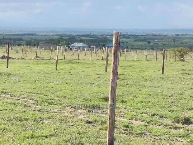 Prime One Acre in Joska.