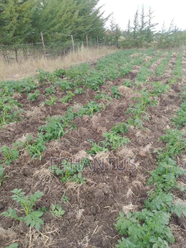 Land for Sale in Nyeri Munyu With a House