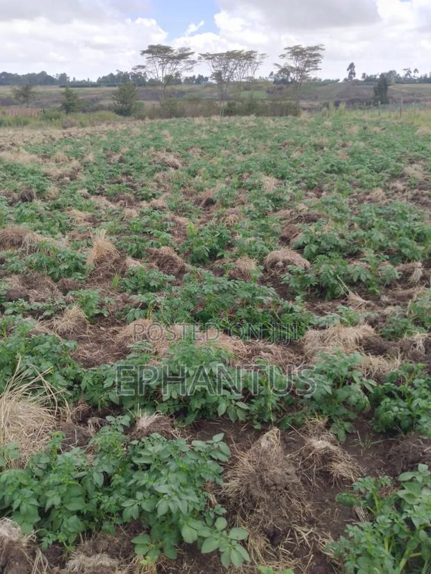 Land for Sale in Nyeri Munyu With a House